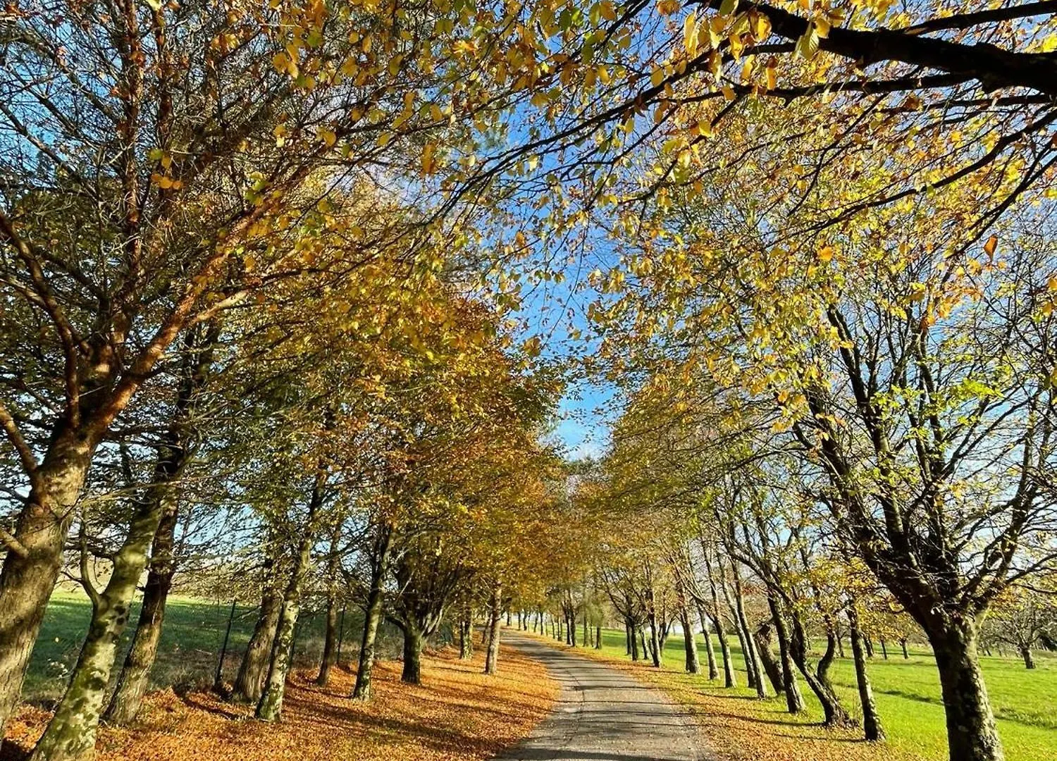 *** Hotel Fernhill Lodge Carrigaline Irland
